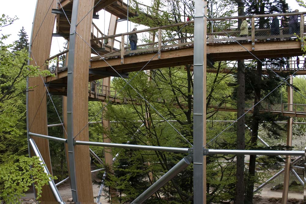 Baumturm nah mit Stahlverstrebungen