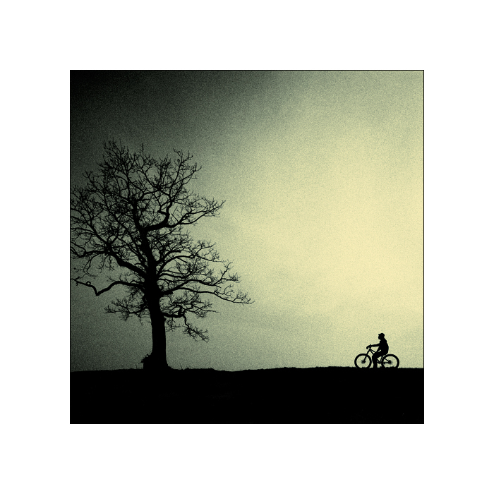 baum.und.bike