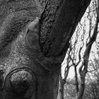Baumwesen 02 - Elefant