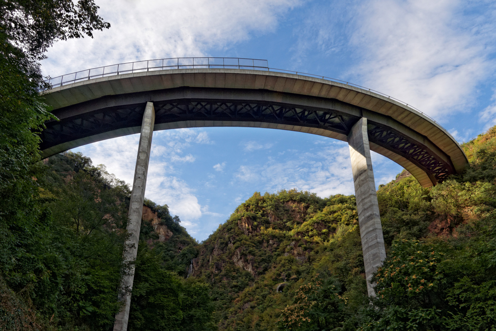 Baumwipfelbrücke