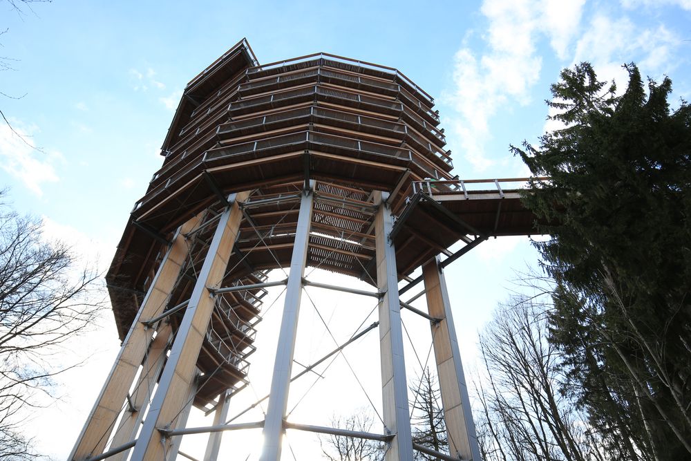 Baumwipfelpfad - Aussichtspunkt