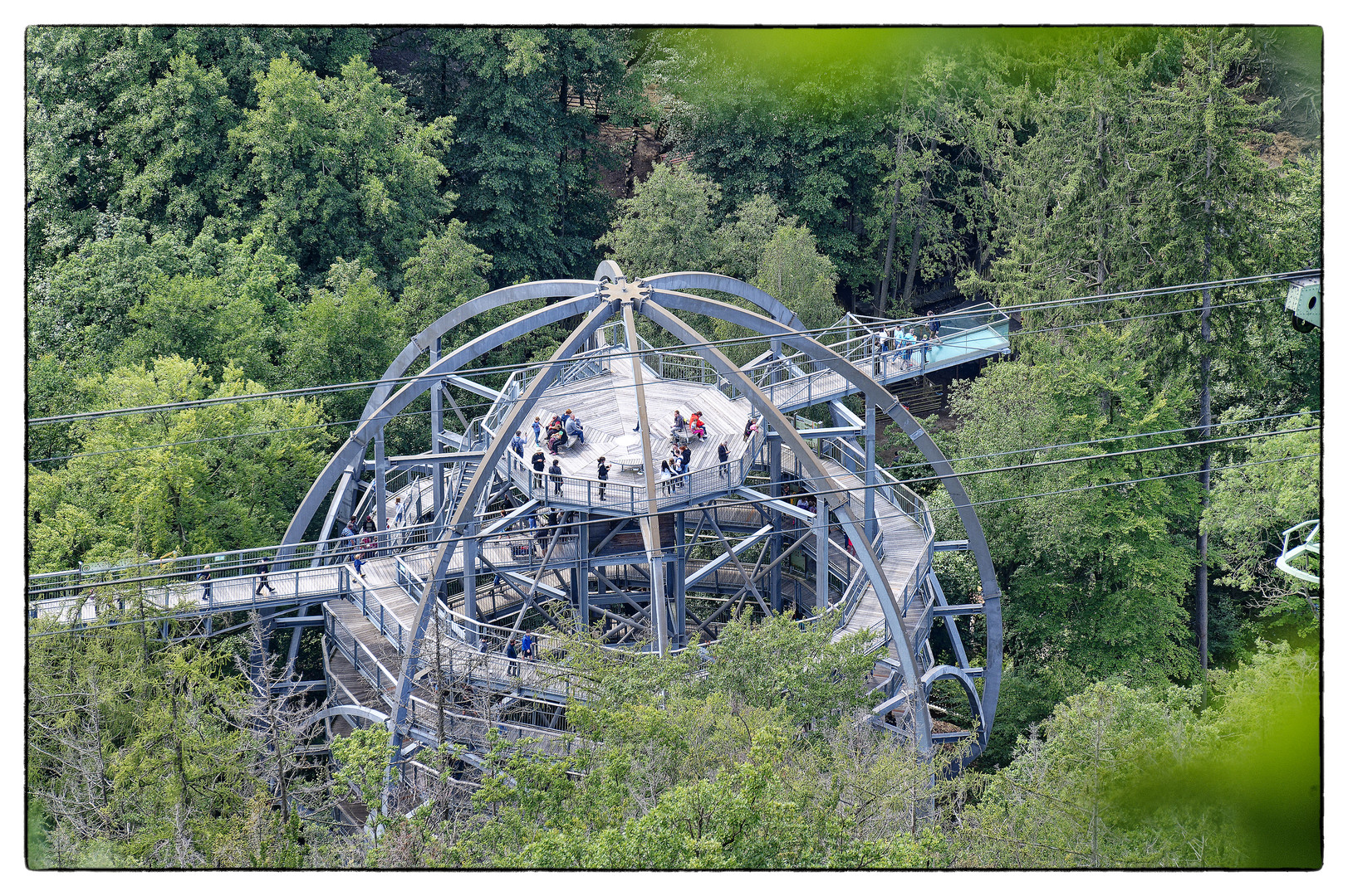 Baumwipfelpfad Bad Harzburg