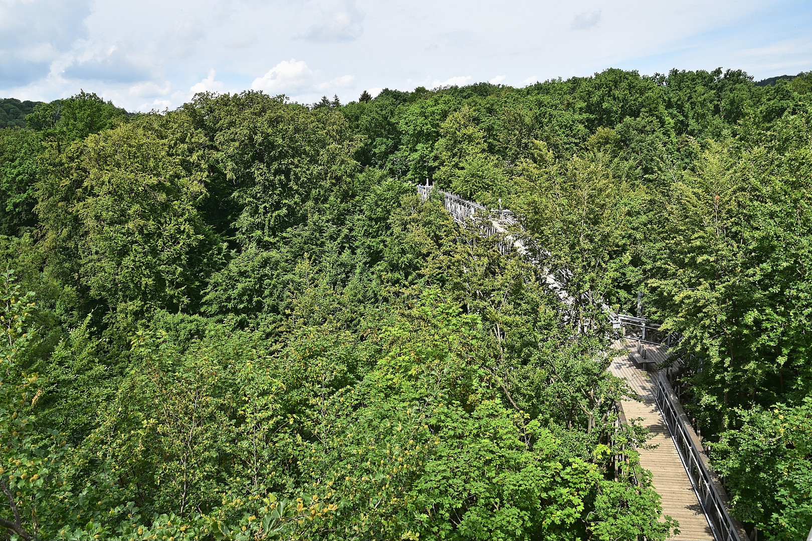 Baumwipfelpfad Bad Iburg