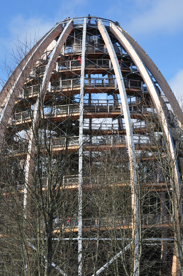 Baumwipfelpfad Bayrischer Wald