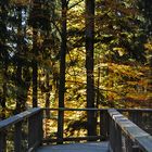 Baumwipfelpfad im Nationalpark Bayerischer Wald .....