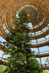 Baumwipfelpfad im Nationalpark Bayerischer Wald