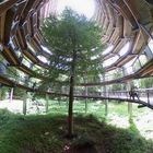 Baumwipfelpfad im Naturerbe Zentrum Rügen