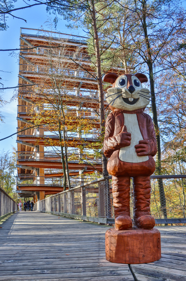 Baumwipfelpfad Usedom