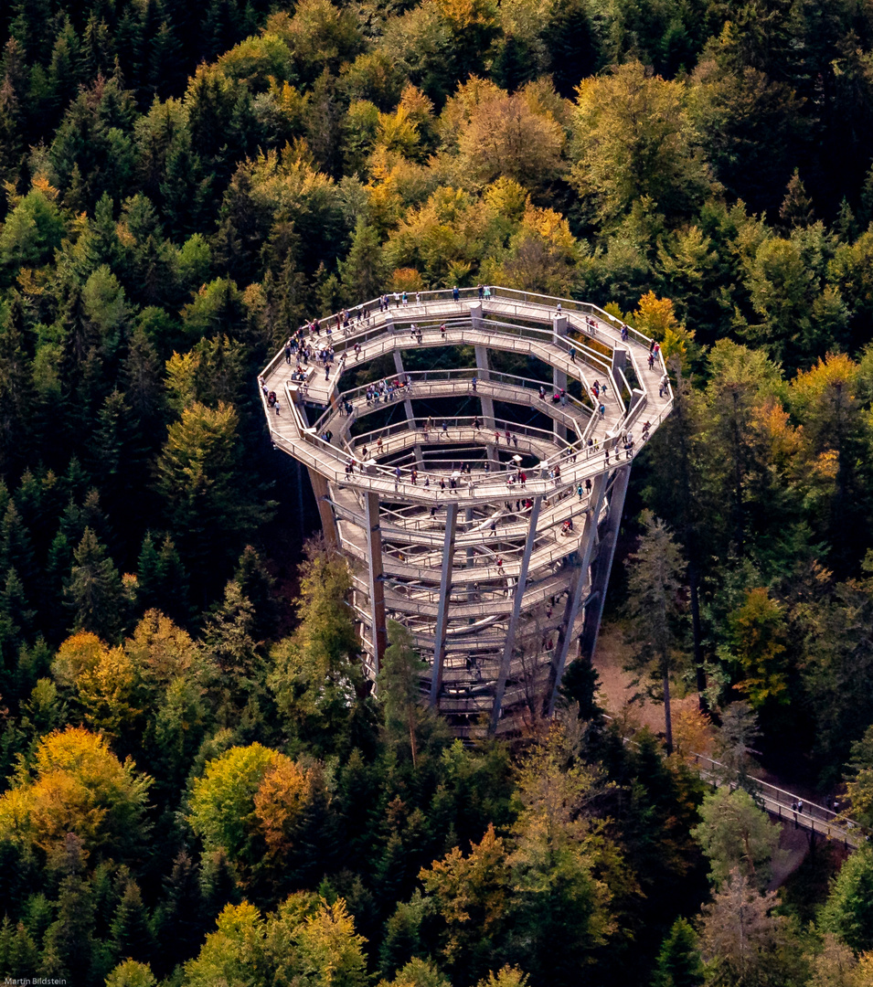 Baumwipfelturm in Bad Wildbad 