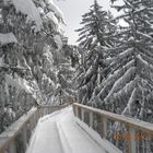 Baumwipfelweg Bad Kötzting