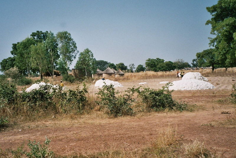 Baumwolle in Burkina Faso