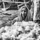 Baumwollverkäuferin auf dem Markt von Jodhpur