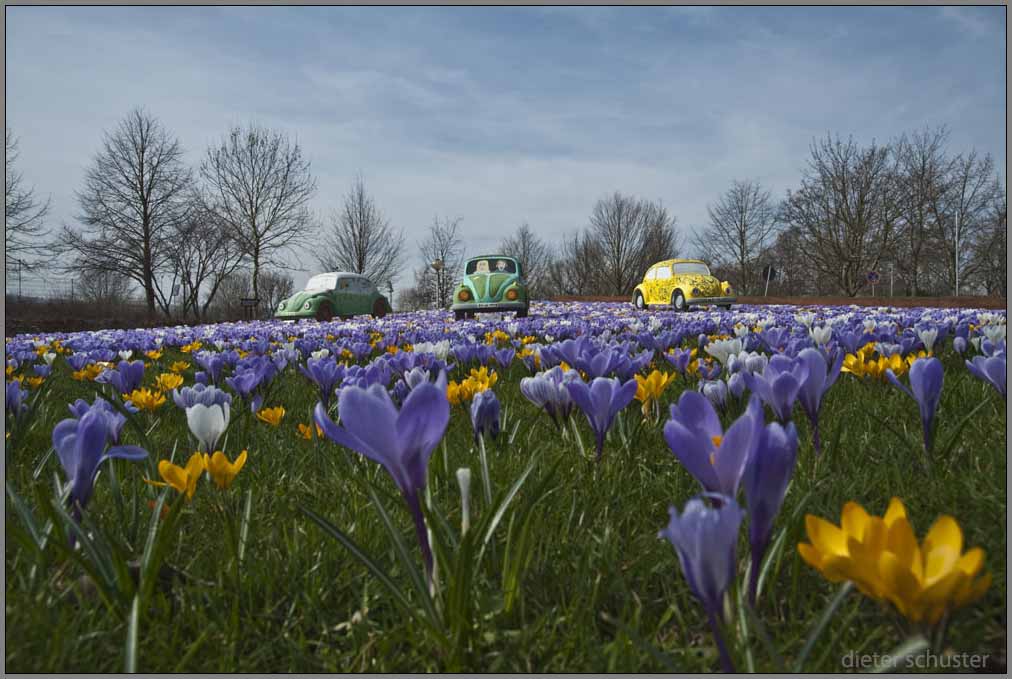 Baunataler Frühling