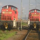 Baureihe 294 844-6 und 294 858-6 . Mannheim, Herbst 2014