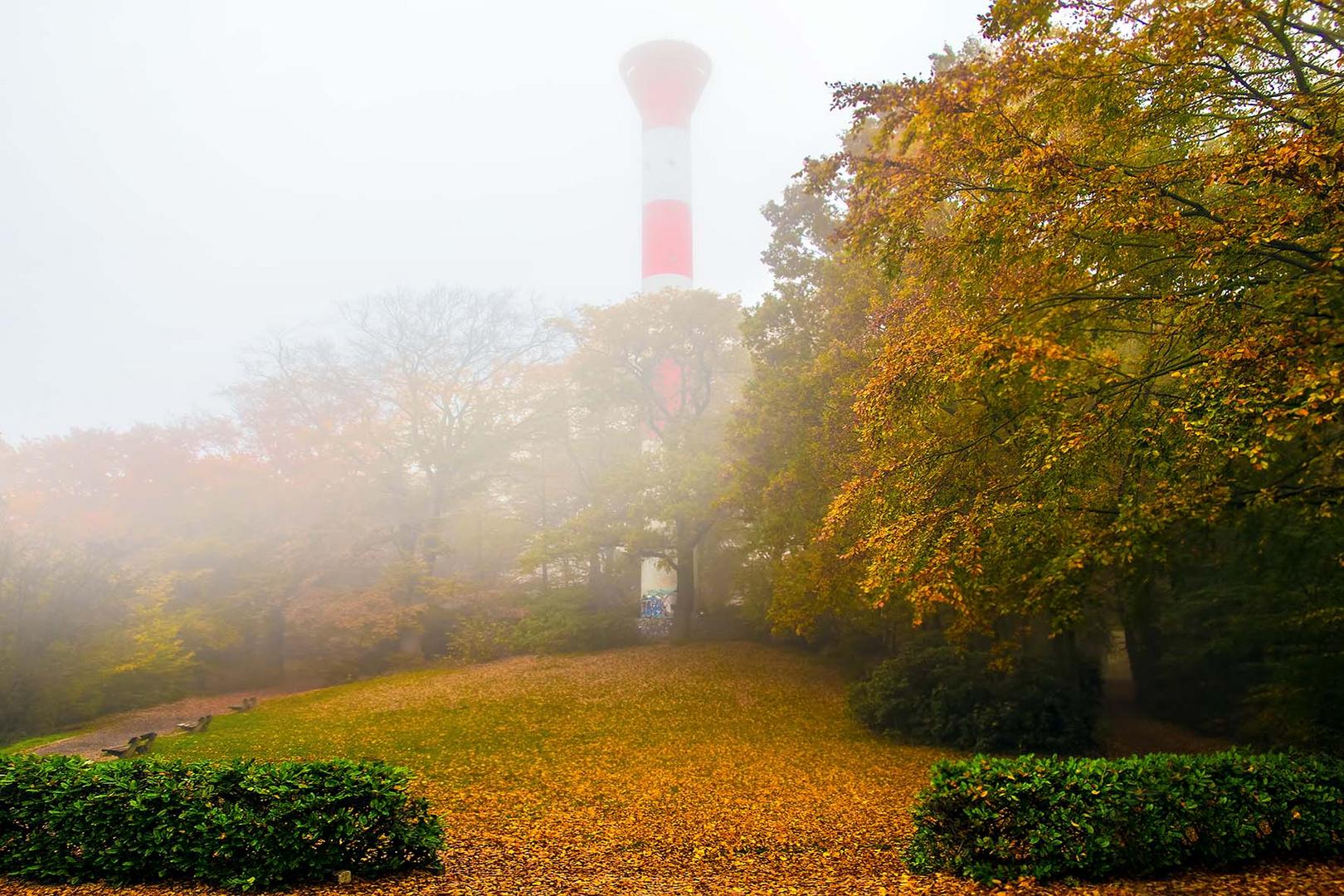 Baurs Park Oberfeuer im Herbst 2015