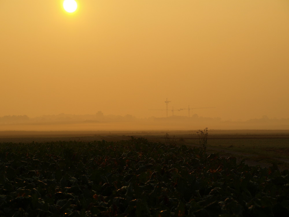 Baustelle im Morgennebel