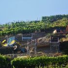 Baustelle im Weinberg