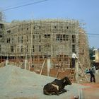 Baustelle in Delhi