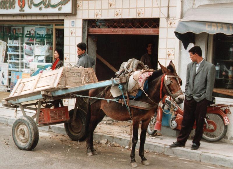 Baustellenfahrzeug in Nabeul, Tunesien