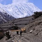 Baustofftransport Nepal