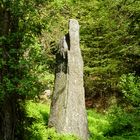 Bautastein NASKEN im Sonnenlicht