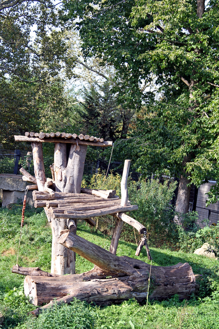 Bauten im Zoo Heidelberg