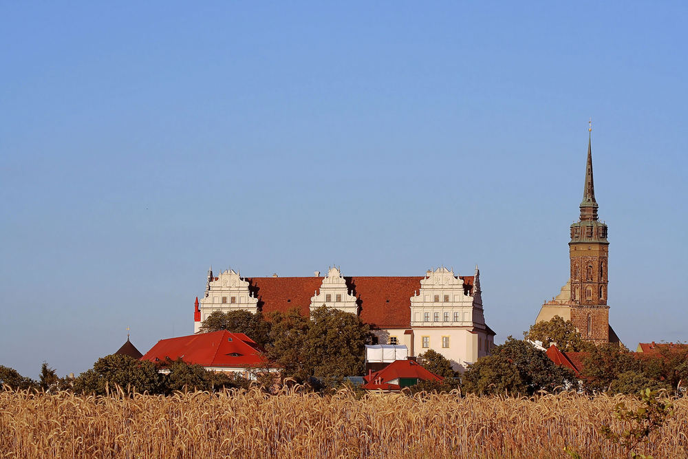 Bautzen - die Stadt im Kornfeld-