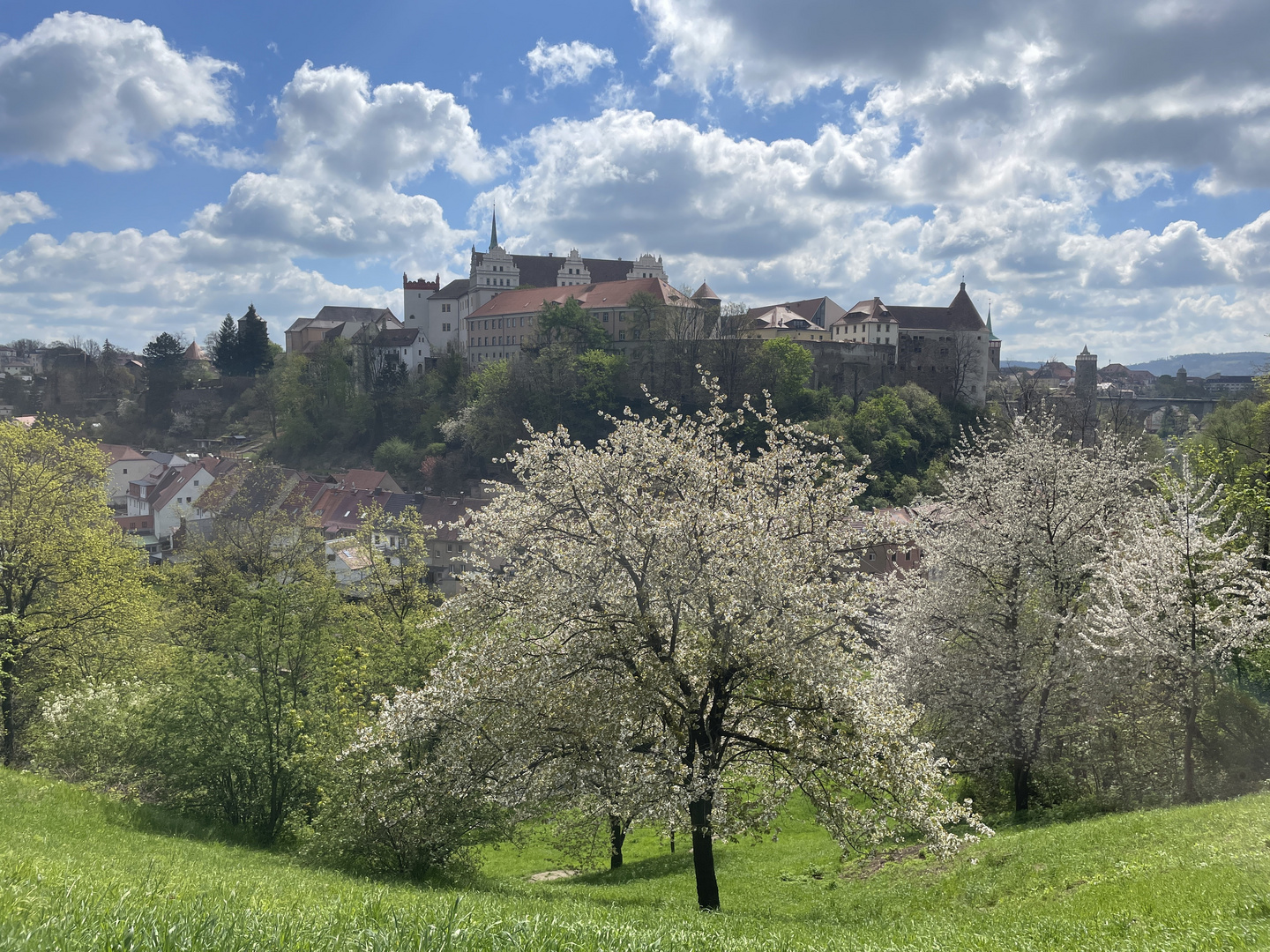 Bautzen im Frühjahr