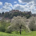 Bautzen im Frühjahr