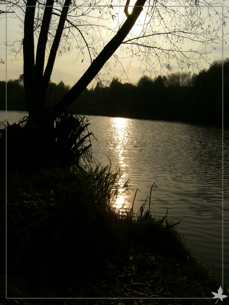 Bautzener Vorstau/Stausee