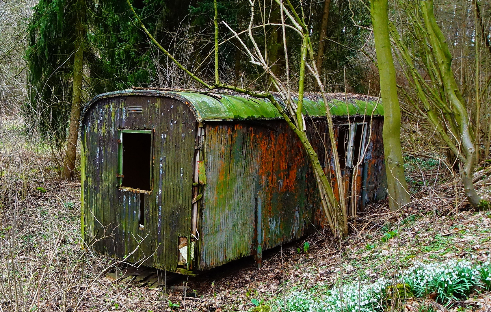 Bauwagen Foto & Bild wald, outdoor, fenster Bilder auf