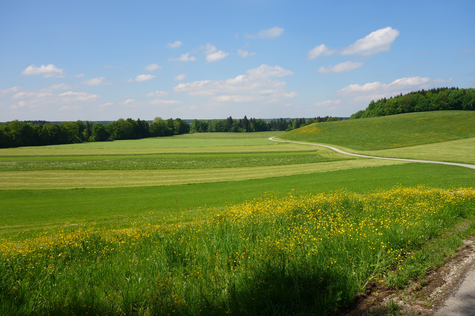 Bavaria