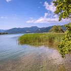 BAVARIA : GMUND AM TEGERNSEE