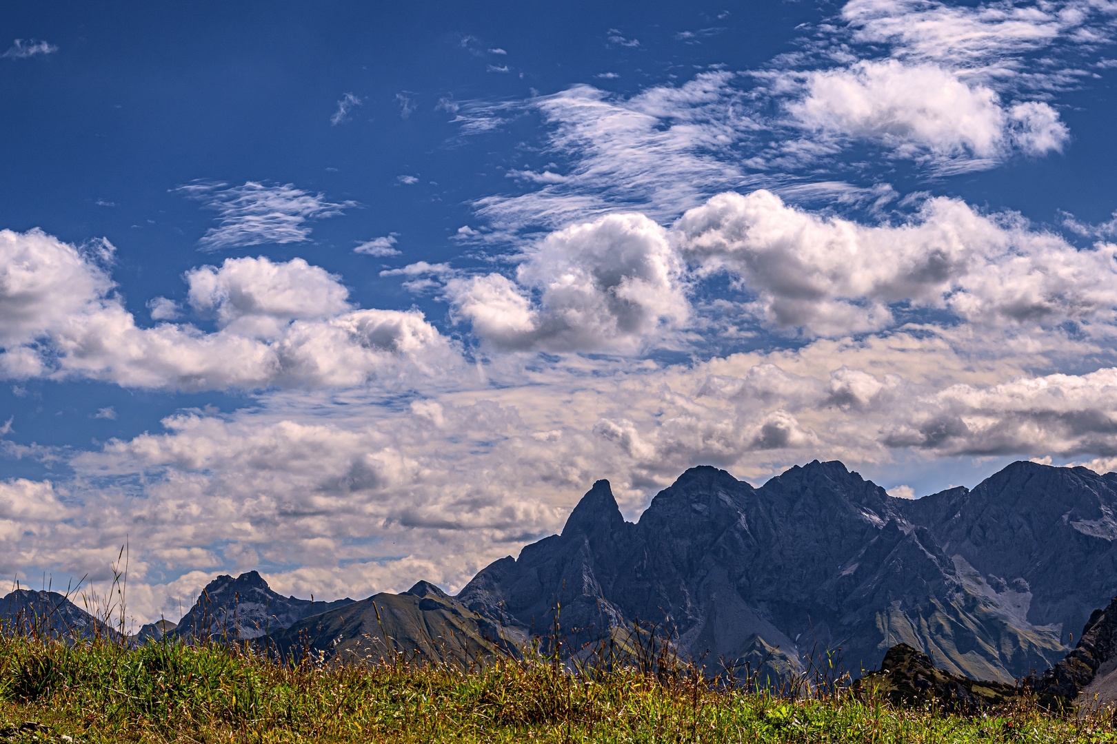 BAVARIA : OBERALLGÄU - OBERSTDORF - AUF DEM FELLHORN