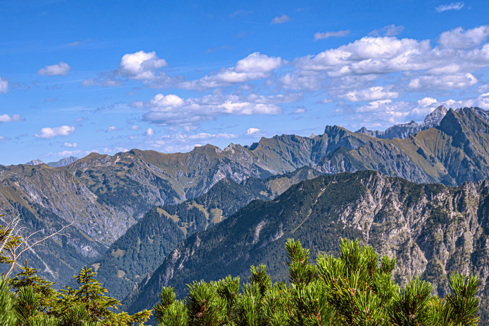 BAVARIA : OBERALLGÄU - OBERSTDORF -FELLHORN