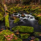 [...bavarian autumn]