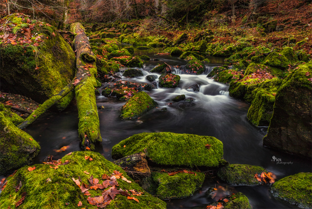 [...bavarian autumn]