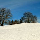 Bavarian blue