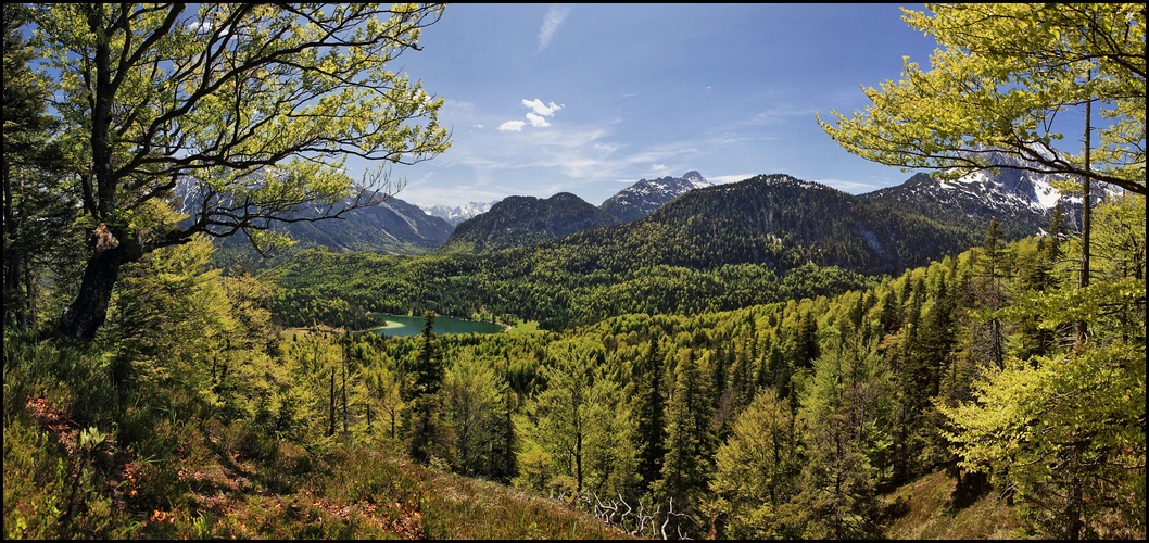 ~ Bavarian Canada I ~