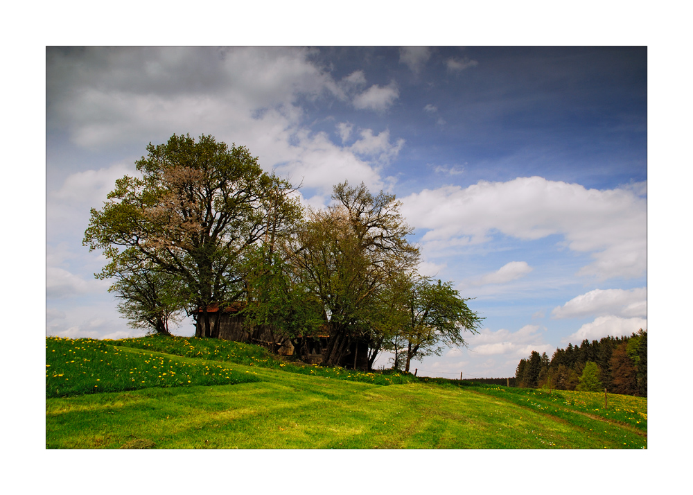 Bavarian Country - Bayrische Landschaften