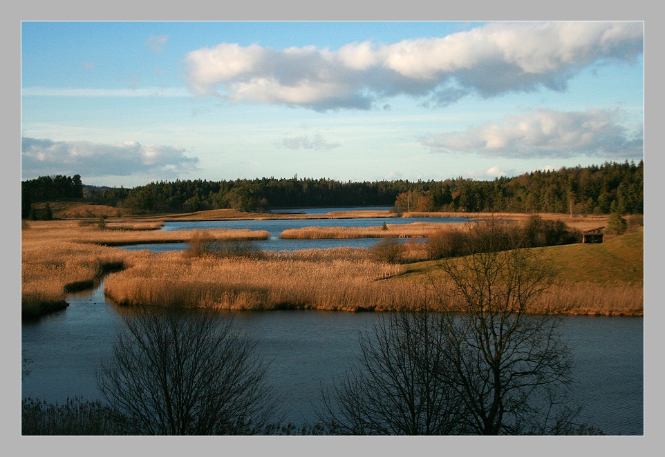 Bavarian Everglades