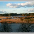 Bavarian Everglades