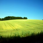 Bavarian Fields