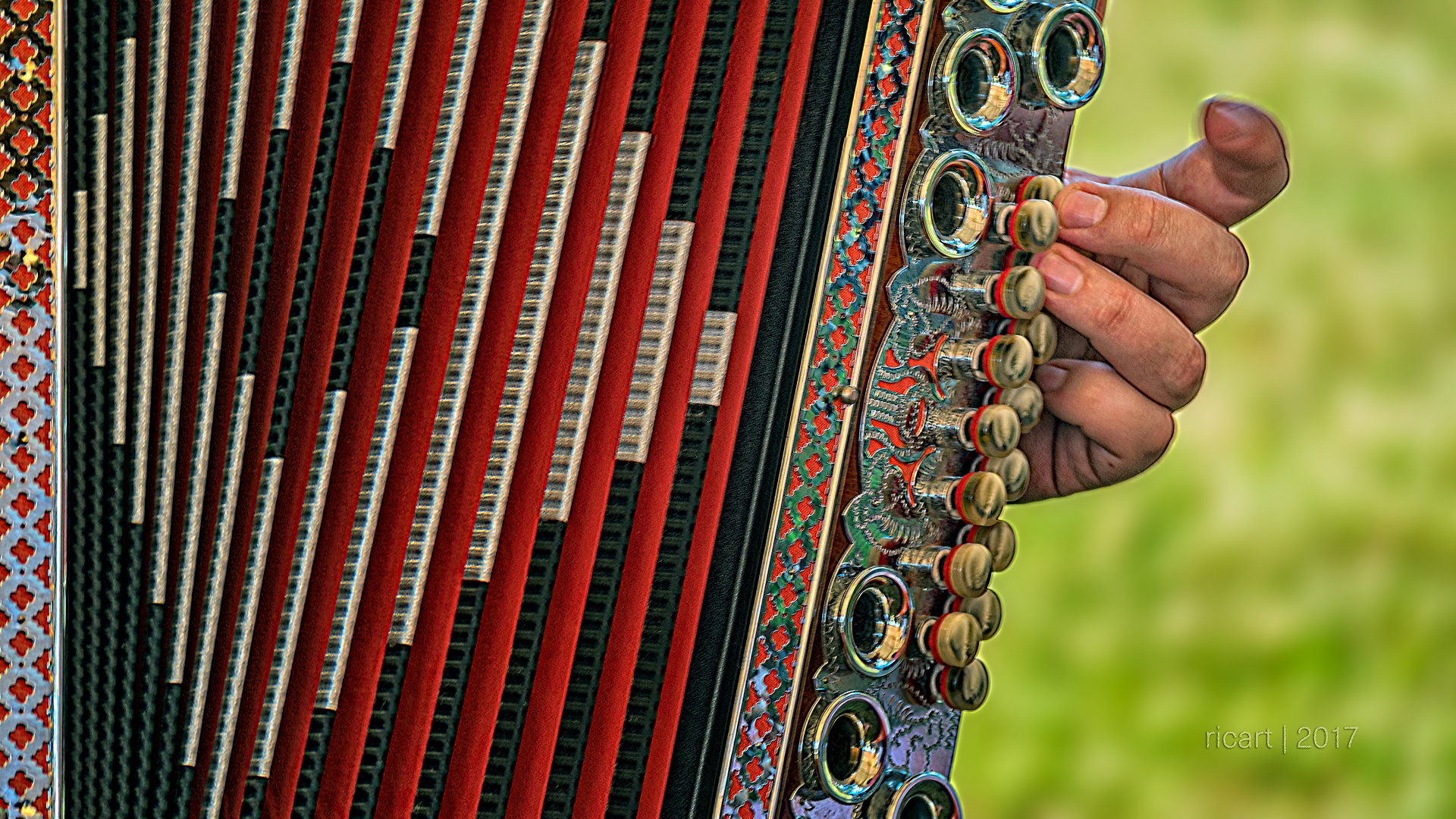 bavarian musician