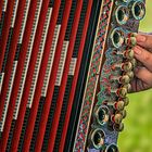 bavarian musician