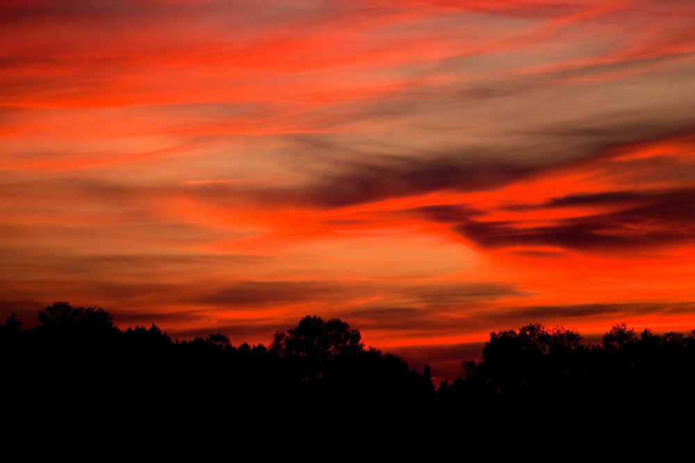 Bavarian Red