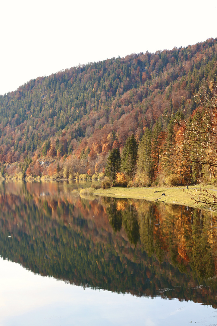 Bavarian reflection