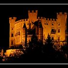 Bavarian Royal Castle - Hohenschwangau