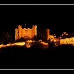 Bavarian Royal Castle - Hohenschwangau (high- swan-area :)