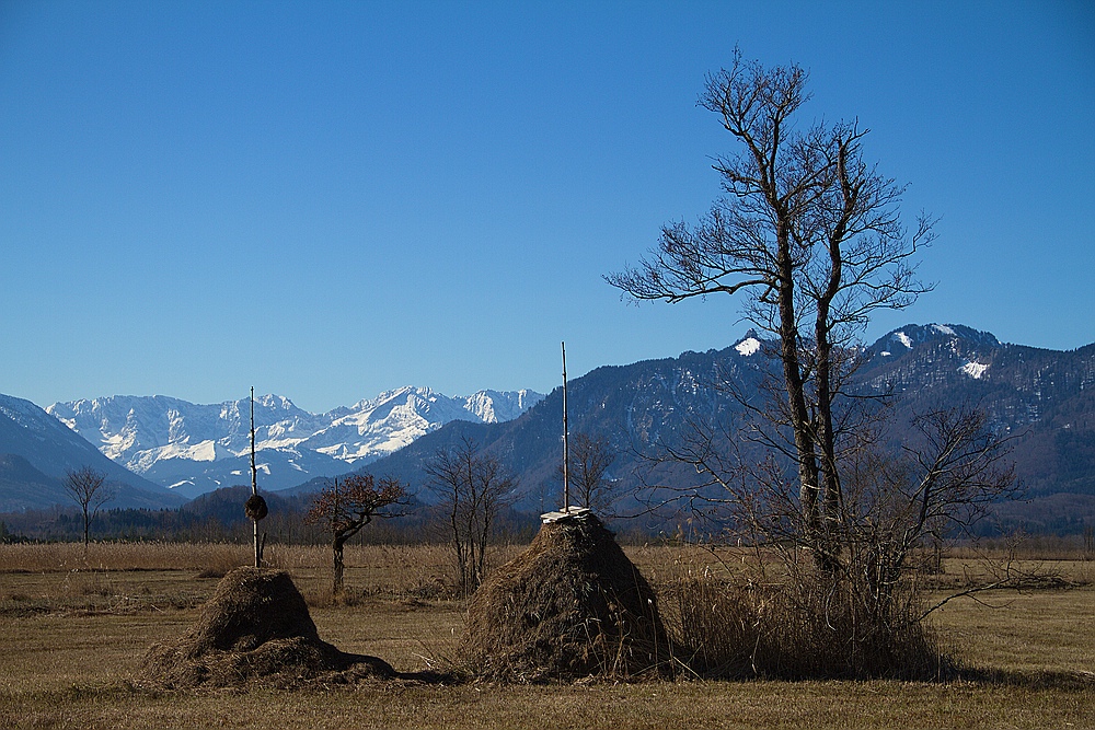 +++ bavarian stupa +++